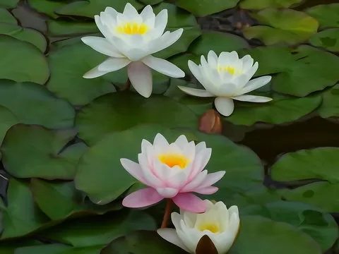 幸运快3